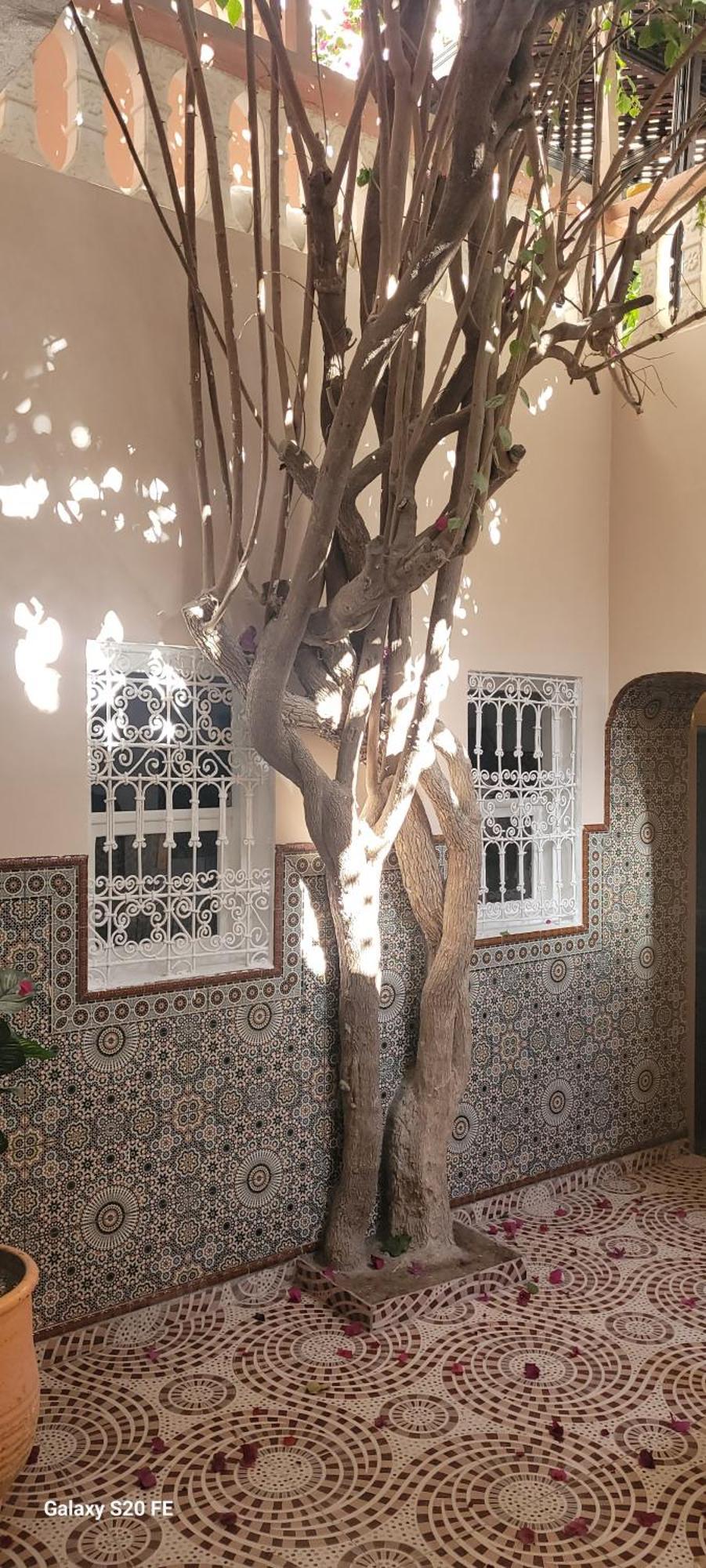 Surf Riad Taghazout Exterior photo